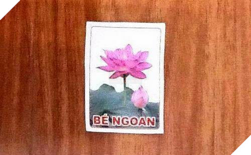 Nếu loạt ảnh này từng là tuổi thơ của bạn thì chúc mừng, bạn đã có những ký ức thật đẹp