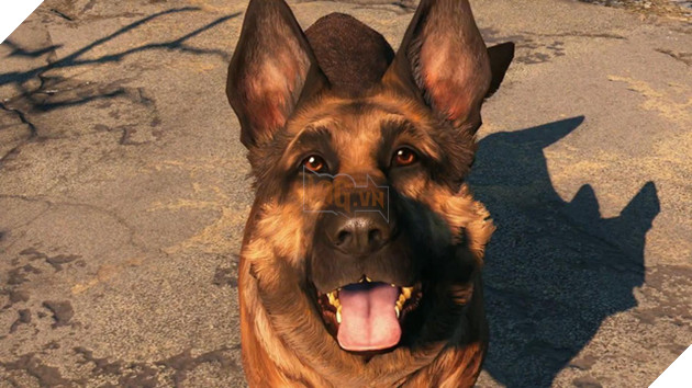 
Nhìn mặt thôi đã thấy trung thành rồi
