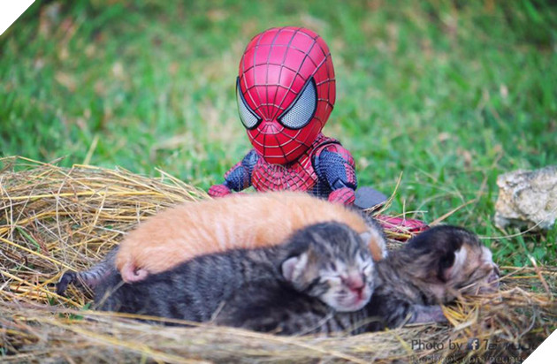 Hài hước cảnh Spider-Man đánh vật với thú cưng của mình