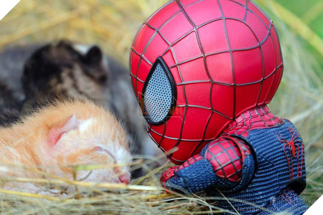 Hài hước cảnh Spider-Man đánh vật với thú cưng của mình