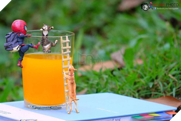 Hài hước cảnh Spider-Man đánh vật với thú cưng của mình