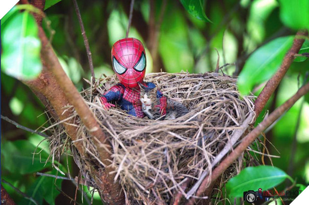 Hài hước cảnh Spider-Man đánh vật với thú cưng của mình