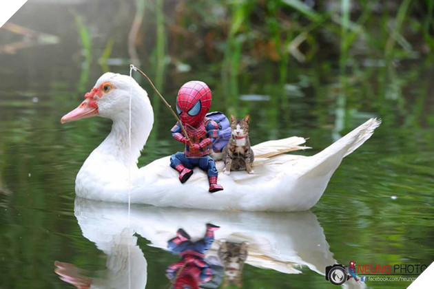 Hài hước cảnh Spider-Man đánh vật với thú cưng của mình