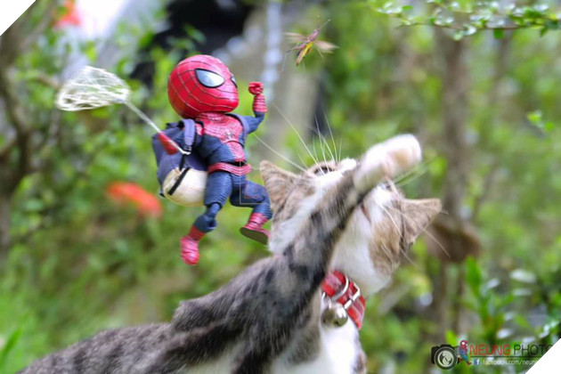 Hài hước cảnh Spider-Man đánh vật với thú cưng của mình
