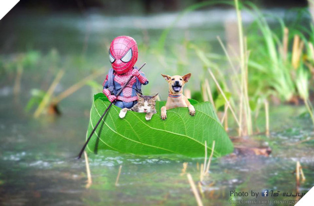 Hài hước cảnh Spider-Man đánh vật với thú cưng của mình