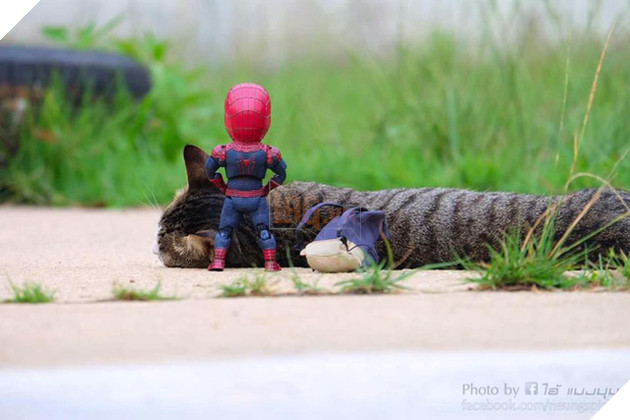 Hài hước cảnh Spider-Man đánh vật với thú cưng của mình