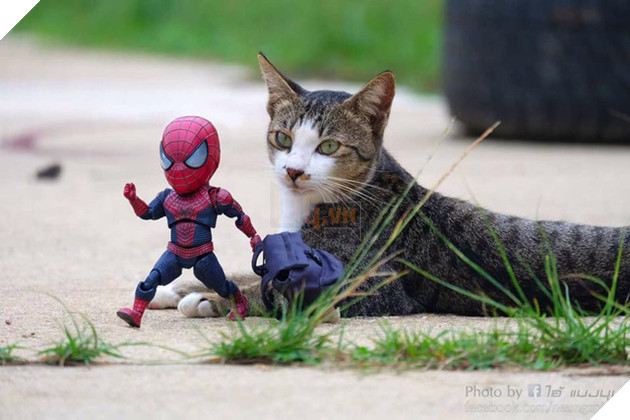 Hài hước cảnh Spider-Man đánh vật với thú cưng của mình