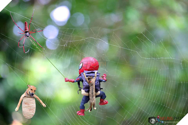Hài hước cảnh Spider-Man đánh vật với thú cưng của mình