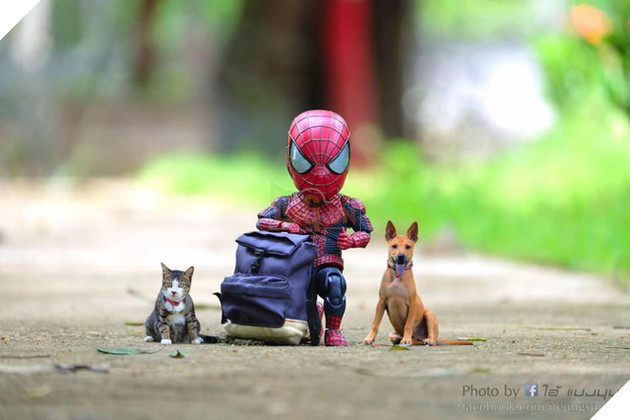 Hài hước cảnh Spider-Man đánh vật với thú cưng của mình