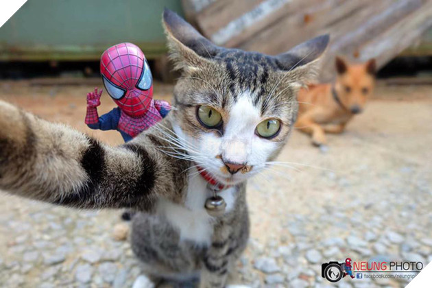 Hài hước cảnh Spider-Man đánh vật với thú cưng của mình
