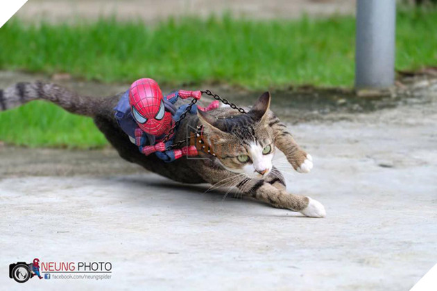 Hài hước cảnh Spider-Man đánh vật với thú cưng của mình