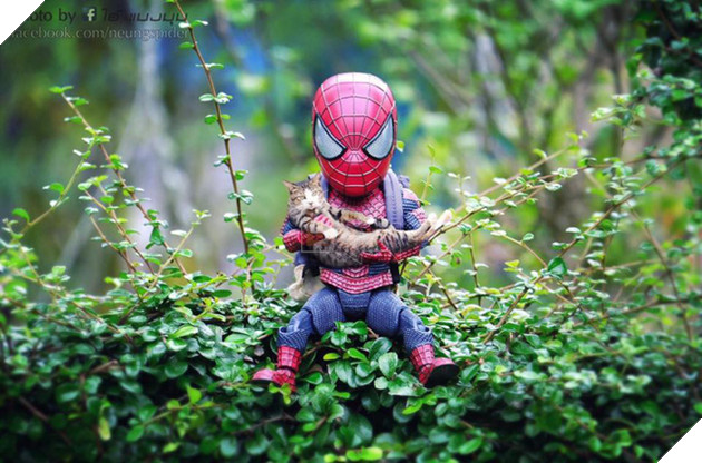 Hài hước cảnh Spider-Man đánh vật với thú cưng của mình