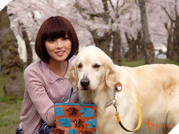 5 PHIM ĐIỆN ẢNH NHẬT VỀ LOÀI CHÓ KHIẾN NGƯỜI XEM THỔN THỨC 8