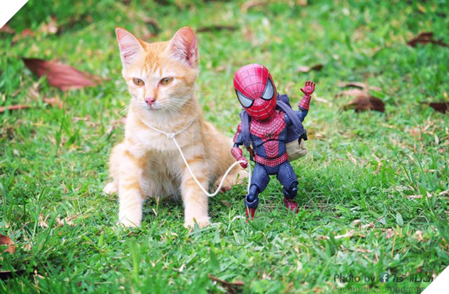 Hài hước cảnh Spider-Man đánh vật với thú cưng của mình