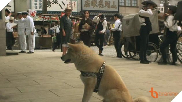 5 PHIM ĐIỆN ẢNH NHẬT VỀ LOÀI CHÓ KHIẾN NGƯỜI XEM THỔN THỨC 6