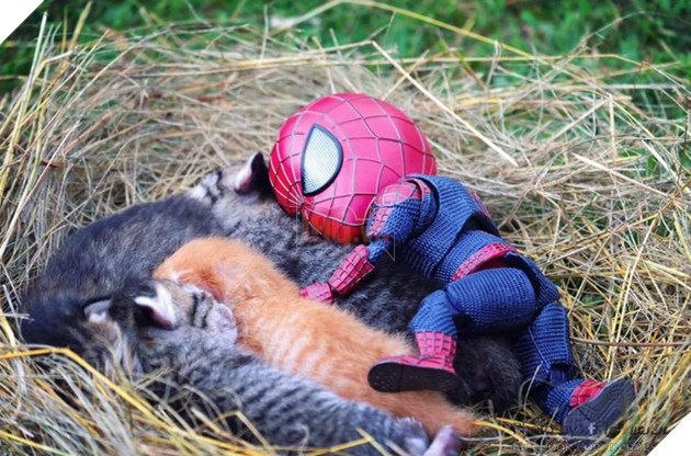 Hài hước cảnh Spider-Man đánh vật với thú cưng của mình