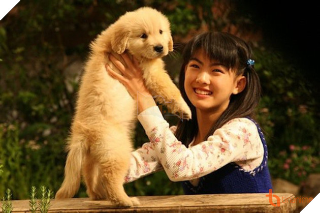 5 PHIM ĐIỆN ẢNH NHẬT VỀ LOÀI CHÓ KHIẾN NGƯỜI XEM THỔN THỨC 7