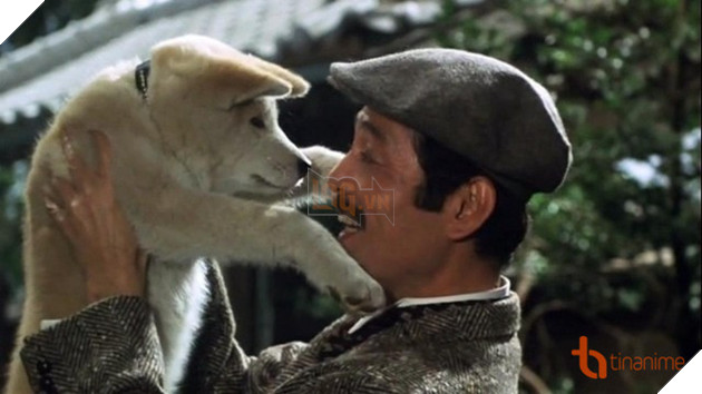 5 PHIM ĐIỆN ẢNH NHẬT VỀ LOÀI CHÓ KHIẾN NGƯỜI XEM THỔN THỨC 5