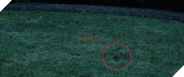 Trò chơi: tìm cục phân chó trên bãi cỏ bắt đầu