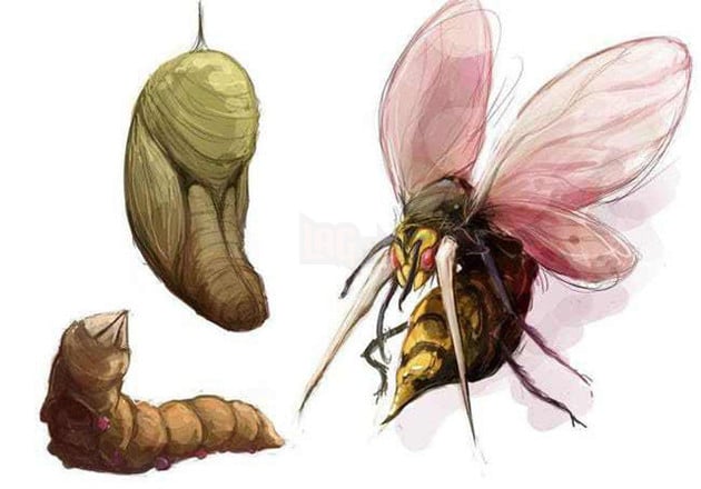 Ngắm 10 pokemon được vẽ theo phong cách thực tế vô cùng độc đáo