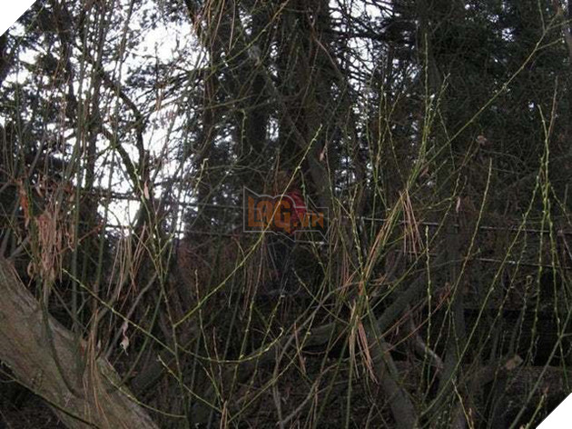 Nếu bạn không tin ma có thật, những hình ảnh này sẽ khiến bạn phải suy nghĩ lại