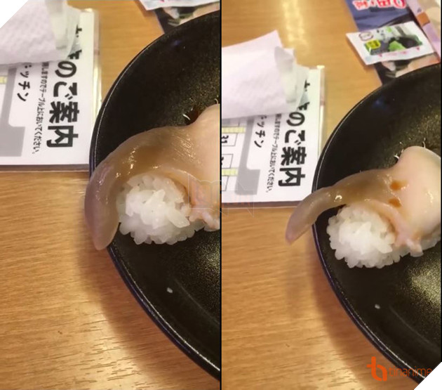 BẠN CÓ DÁM ĂN THỬ CHÚNG SAU KHI XEM XONG VIDEO CLIP NÀY?