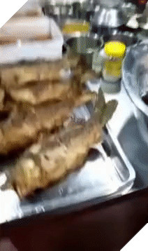 BẠN CÓ DÁM ĂN THỬ CHÚNG SAU KHI XEM XONG VIDEO CLIP NÀY? 4