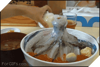 BẠN CÓ DÁM ĂN THỬ CHÚNG SAU KHI XEM XONG VIDEO CLIP NÀY? 3