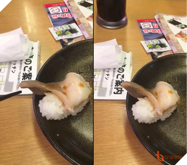 BẠN CÓ DÁM ĂN THỬ CHÚNG SAU KHI XEM XONG VIDEO CLIP NÀY? 2