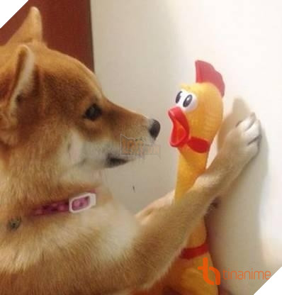 CHẾT CƯỜI VỚI LOẠT ẢNH TỎ TÌNH KIỂU NHẬT CỦA ĐỘNG VẬT! 7