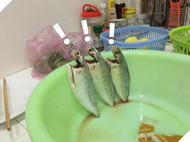Full câu chuyện Gia đình cá chiên đang khiến cư dân mạng phát sốt phát rét vì quá sáng tạo - Ảnh 11. Full câu chuyện Gia đình cá chiên đang khiến cư dân mạng phát sốt phát rét vì quá sáng tạo - Ảnh 11.