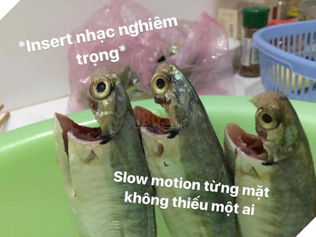 Full câu chuyện Gia đình cá chiên đang khiến cư dân mạng phát sốt phát rét vì quá sáng tạo - Ảnh 12. Full câu chuyện Gia đình cá chiên đang khiến cư dân mạng phát sốt phát rét vì quá sáng tạo - Ảnh 12.