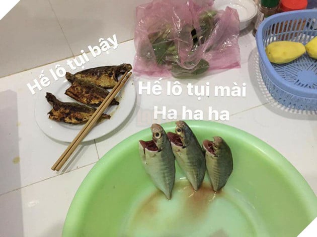 Full câu chuyện Gia đình cá chiên đang khiến cư dân mạng phát sốt phát rét vì quá sáng tạo - Ảnh 17. Full câu chuyện Gia đình cá chiên đang khiến cư dân mạng phát sốt phát rét vì quá sáng tạo - Ảnh 17.