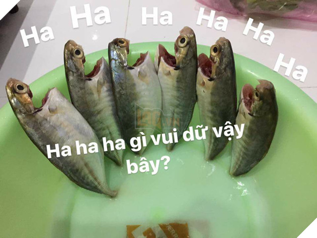 Full câu chuyện Gia đình cá chiên đang khiến cư dân mạng phát sốt phát rét vì quá sáng tạo - Ảnh 2. Full câu chuyện Gia đình cá chiên đang khiến cư dân mạng phát sốt phát rét vì quá sáng tạo - Ảnh 2.