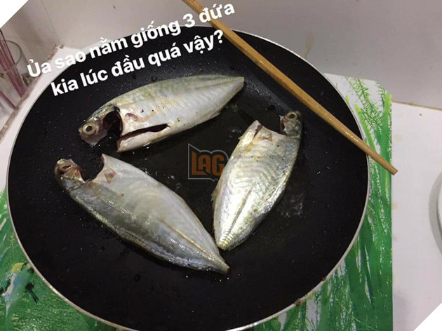 Full câu chuyện Gia đình cá chiên đang khiến cư dân mạng phát sốt phát rét vì quá sáng tạo - Ảnh 20. Full câu chuyện Gia đình cá chiên đang khiến cư dân mạng phát sốt phát rét vì quá sáng tạo - Ảnh 20.