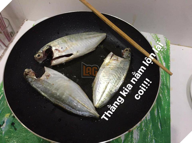 Full câu chuyện Gia đình cá chiên đang khiến cư dân mạng phát sốt phát rét vì quá sáng tạo - Ảnh 21. Full câu chuyện Gia đình cá chiên đang khiến cư dân mạng phát sốt phát rét vì quá sáng tạo - Ảnh 21.