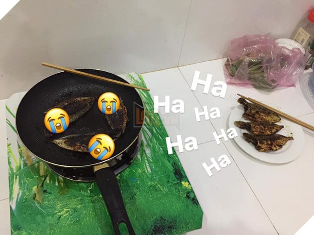 Full câu chuyện Gia đình cá chiên đang khiến cư dân mạng phát sốt phát rét vì quá sáng tạo - Ảnh 25. Full câu chuyện Gia đình cá chiên đang khiến cư dân mạng phát sốt phát rét vì quá sáng tạo - Ảnh 25.