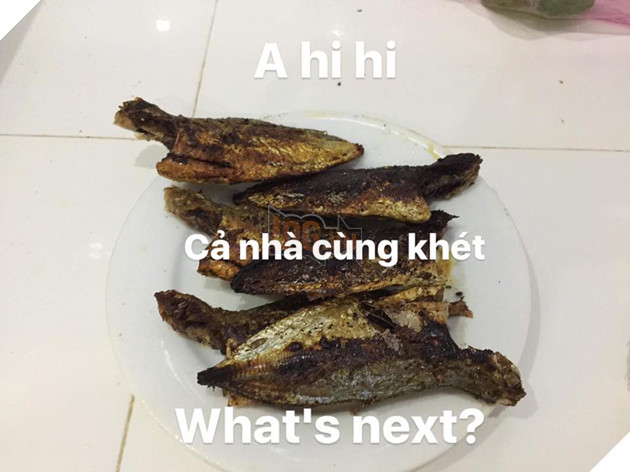 Full câu chuyện Gia đình cá chiên đang khiến cư dân mạng phát sốt phát rét vì quá sáng tạo - Ảnh 26. Full câu chuyện Gia đình cá chiên đang khiến cư dân mạng phát sốt phát rét vì quá sáng tạo - Ảnh 26.
