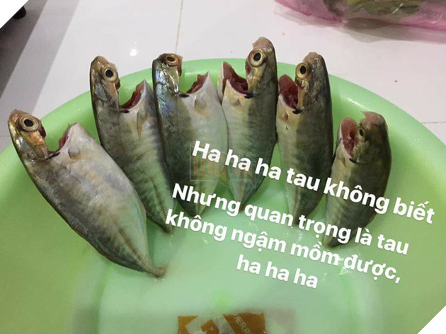 Full câu chuyện Gia đình cá chiên đang khiến cư dân mạng phát sốt phát rét vì quá sáng tạo - Ảnh 3. Full câu chuyện Gia đình cá chiên đang khiến cư dân mạng phát sốt phát rét vì quá sáng tạo - Ảnh 3.