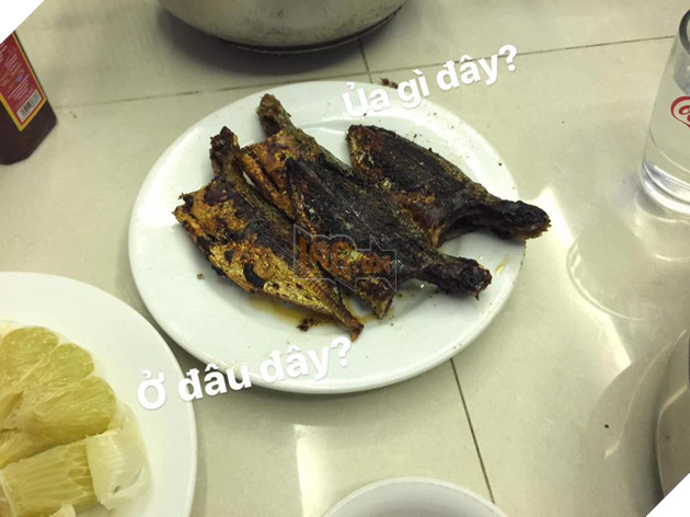 Full câu chuyện Gia đình cá chiên đang khiến cư dân mạng phát sốt phát rét vì quá sáng tạo - Ảnh 28. Full câu chuyện Gia đình cá chiên đang khiến cư dân mạng phát sốt phát rét vì quá sáng tạo - Ảnh 28.