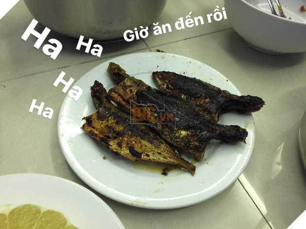 Full câu chuyện Gia đình cá chiên đang khiến cư dân mạng phát sốt phát rét vì quá sáng tạo - Ảnh 29. Full câu chuyện Gia đình cá chiên đang khiến cư dân mạng phát sốt phát rét vì quá sáng tạo - Ảnh 29.