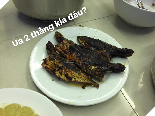 Full câu chuyện Gia đình cá chiên đang khiến cư dân mạng phát sốt phát rét vì quá sáng tạo - Ảnh 30. Full câu chuyện Gia đình cá chiên đang khiến cư dân mạng phát sốt phát rét vì quá sáng tạo - Ảnh 30.