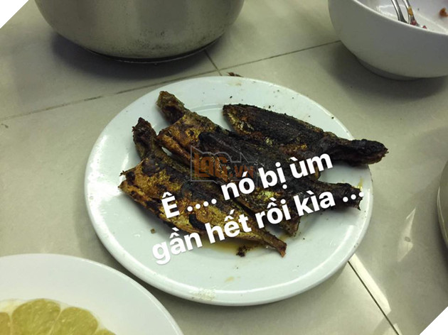 Full câu chuyện Gia đình cá chiên đang khiến cư dân mạng phát sốt phát rét vì quá sáng tạo - Ảnh 36. Full câu chuyện Gia đình cá chiên đang khiến cư dân mạng phát sốt phát rét vì quá sáng tạo - Ảnh 36.
