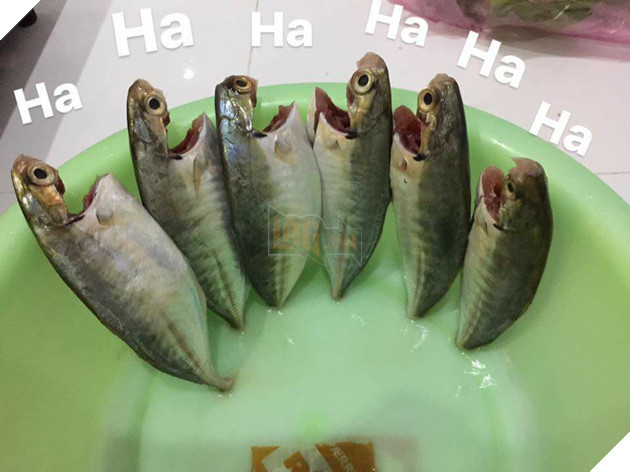 Full câu chuyện Gia đình cá chiên đang khiến cư dân mạng phát sốt phát rét vì quá sáng tạo - Ảnh 4. Full câu chuyện Gia đình cá chiên đang khiến cư dân mạng phát sốt phát rét vì quá sáng tạo - Ảnh 4.