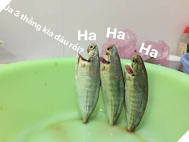 Full câu chuyện Gia đình cá chiên đang khiến cư dân mạng phát sốt phát rét vì quá sáng tạo - Ảnh 6. Full câu chuyện Gia đình cá chiên đang khiến cư dân mạng phát sốt phát rét vì quá sáng tạo - Ảnh 6.