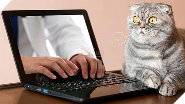 [Vui] 20 bức ảnh stock siêu quái đản, không hiểu sao vẫn được mua về dùng - Ảnh 2.