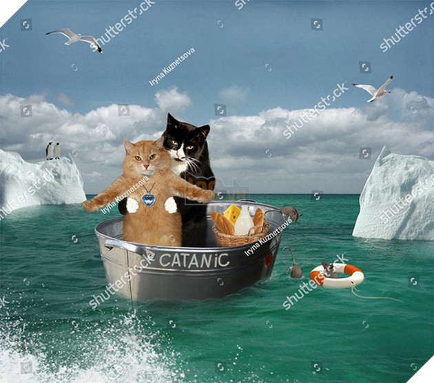 [Vui] 20 bức ảnh stock siêu quái đản, không hiểu sao vẫn được mua về dùng - Ảnh 14.