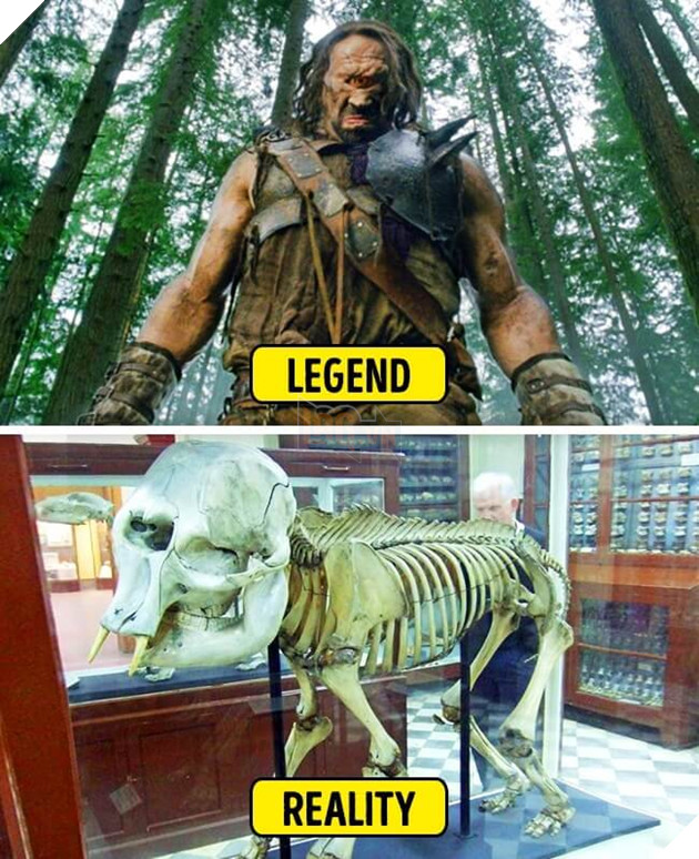 Dung nhan đời thực của 7 sinh vật huyền bí ai cũng nghĩ chỉ tồn tại trong truyền thuyết