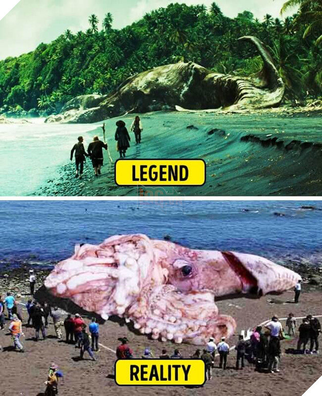 Dung nhan đời thực của 7 sinh vật huyền bí ai cũng nghĩ chỉ tồn tại trong truyền thuyết