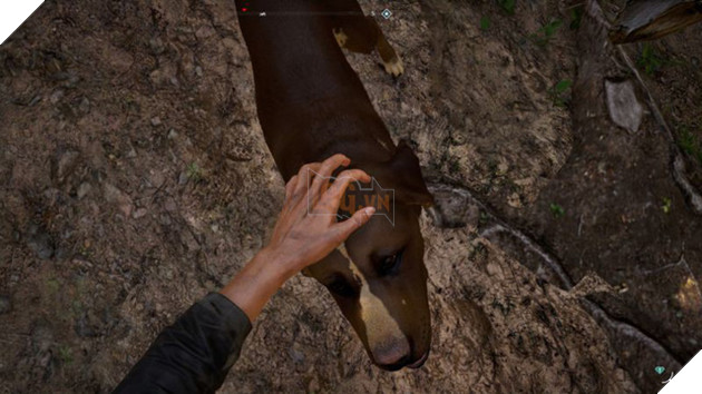 Chỉ bổ sung một tính năng nhỏ nhưng Far Cry 5 đã trở thành tựa game tuyệt vời nhất thế giới với hội yêu chó - Ảnh 4.